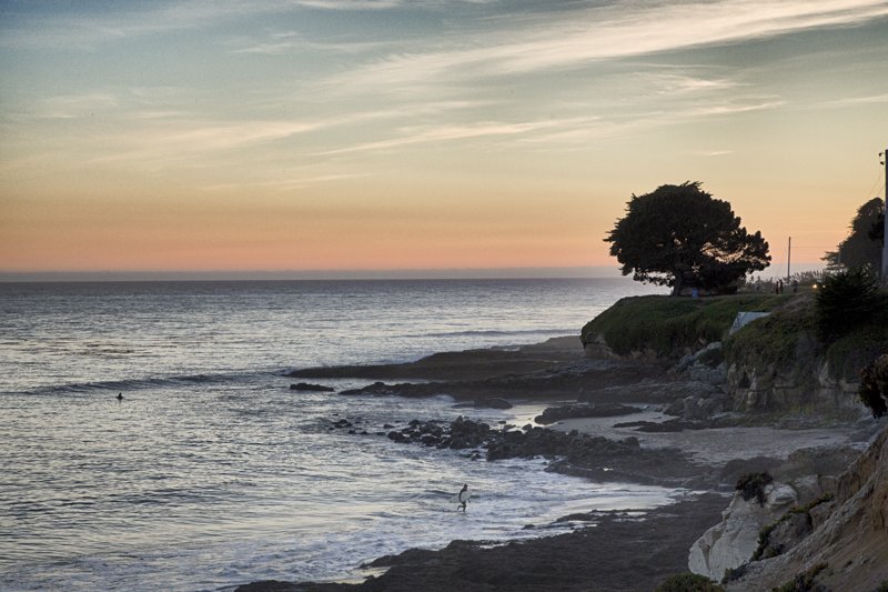 Mitchell s Cove Santa Cruz Ca